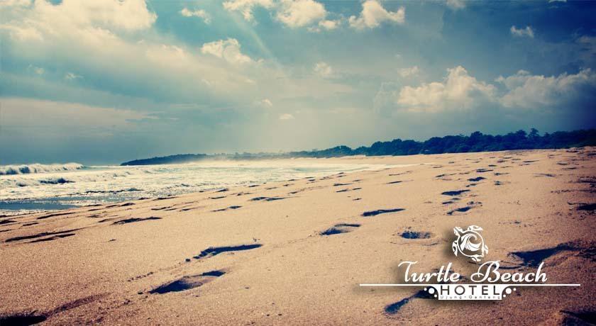 Turtle Beach Hotel Ujunggenteng Стая снимка